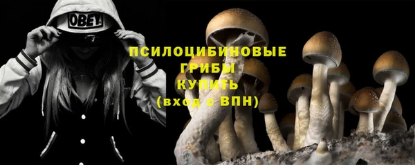 2c-b Белокуриха
