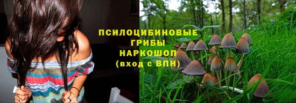 2c-b Белокуриха