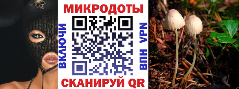 Псилоцибиновые грибы GOLDEN TEACHER  Купить закладки  Ленинск-Кузнецкий 